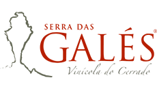Vinícola Serra das Galés - Agência MPrado